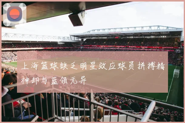 上海篮球缺乏明星效应球员拼搏精神却与蓝领无异
