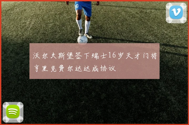 沃尔夫斯堡签下瑞士16岁天才门将亨里克费尔达达成协议